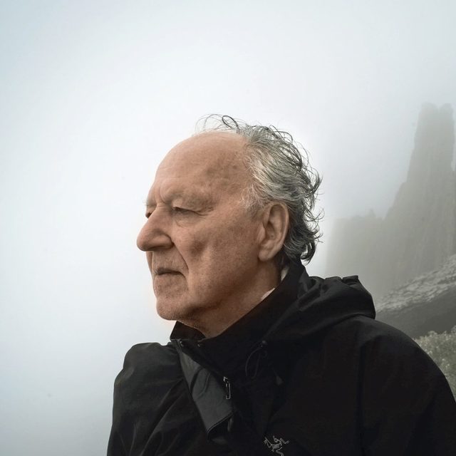 Large werner herzog