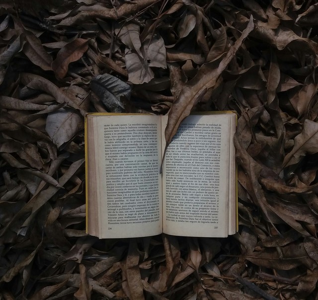 Large unsplash